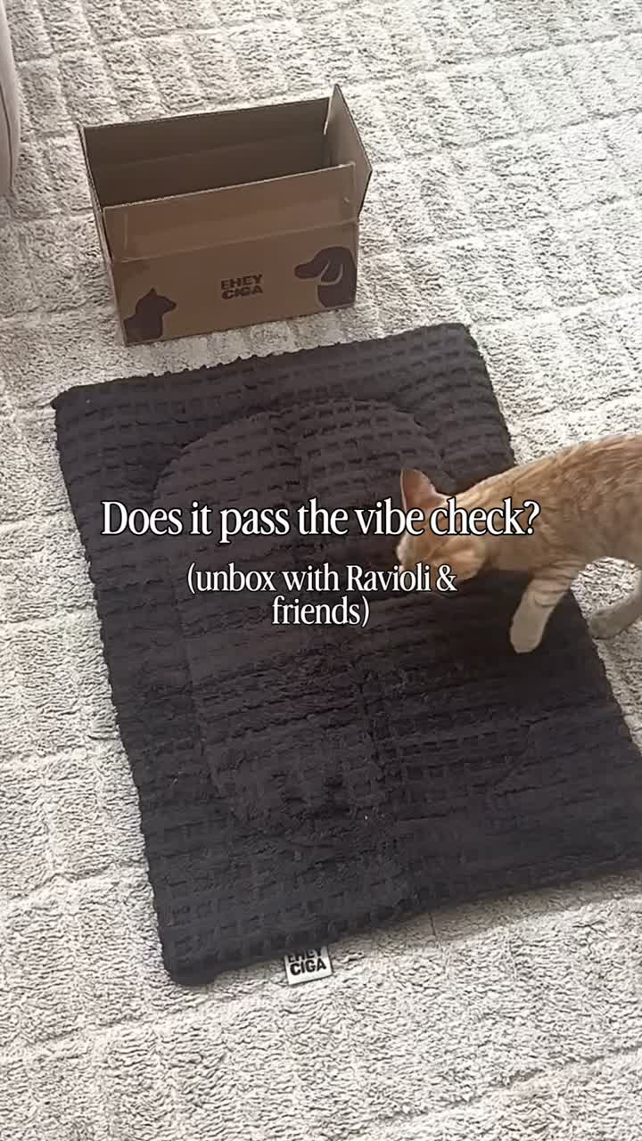 Ravioli exploring the EHEYCIGA unboxing delivery