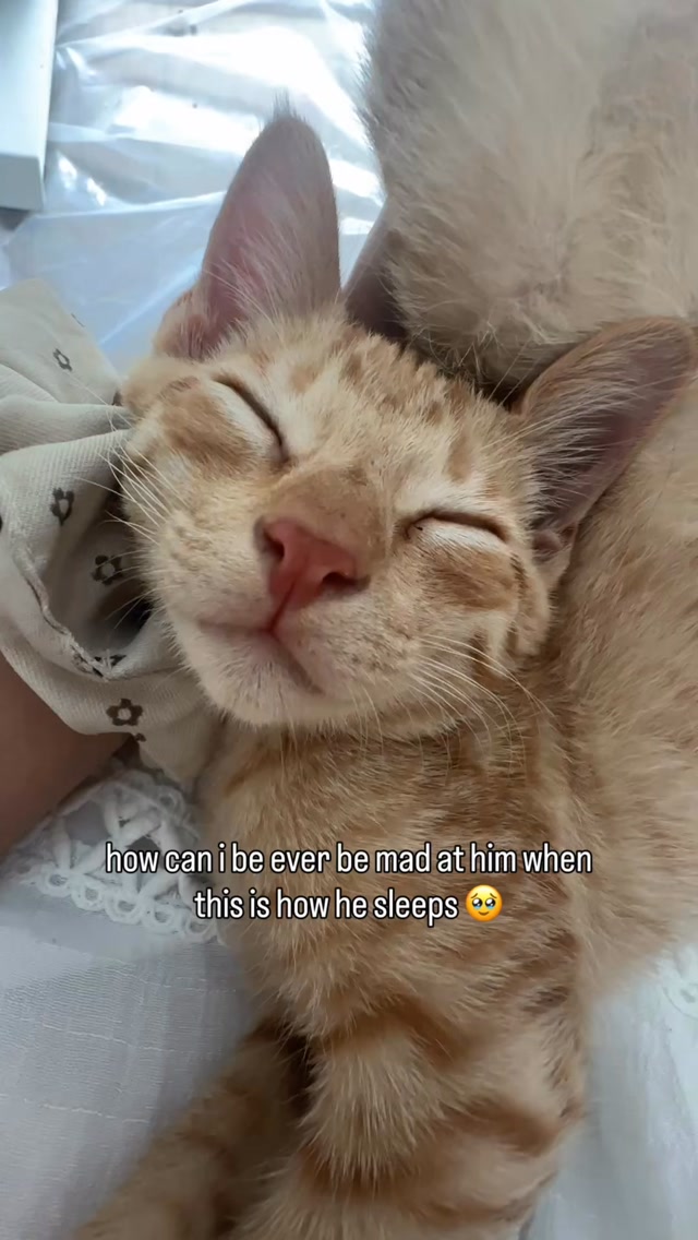 Still figuring out this sleeping thing.